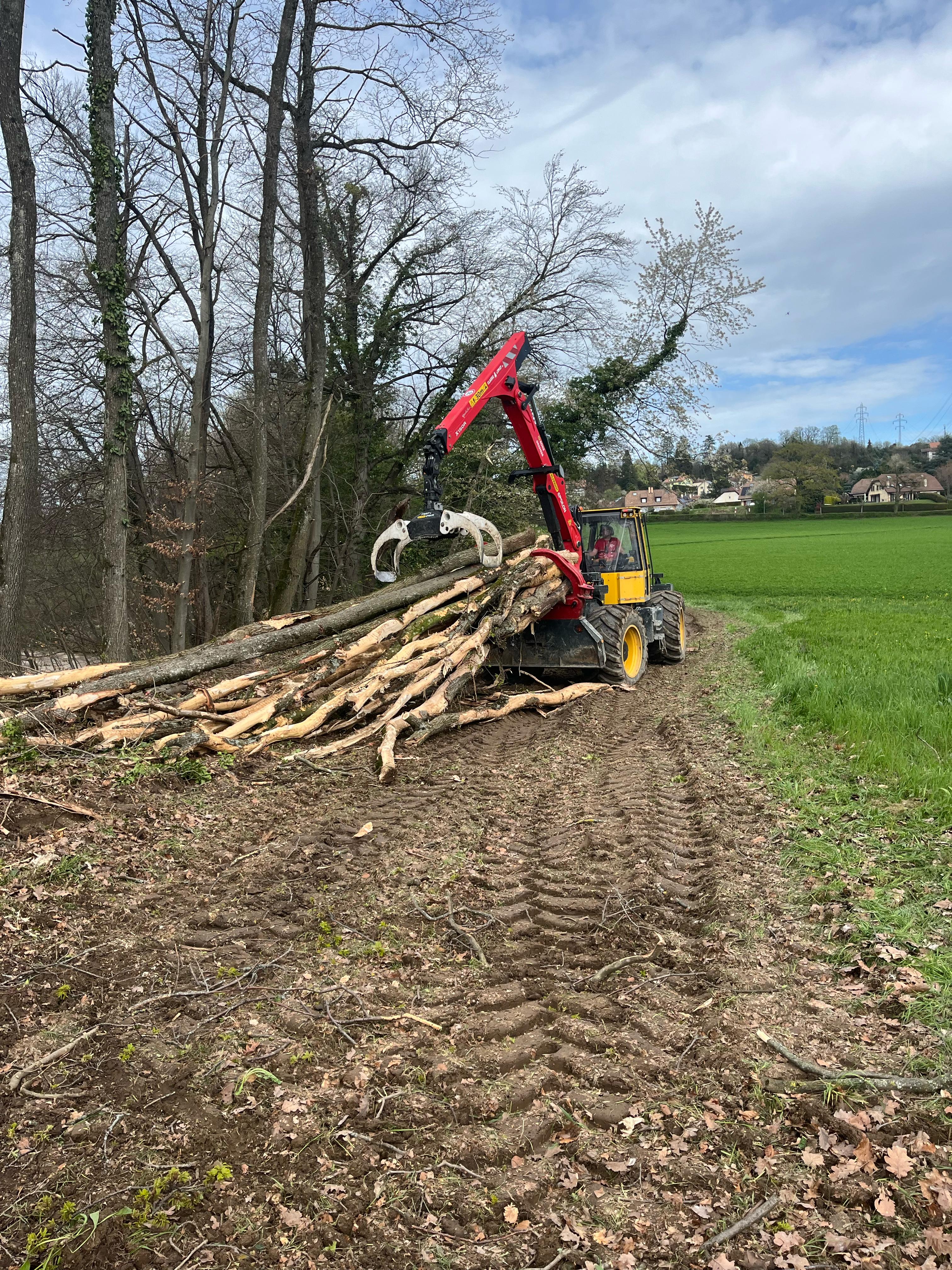 Débardage de bois dans le Jura — SAS POLYVIER
